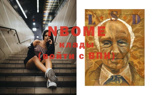 хмурый Алексин